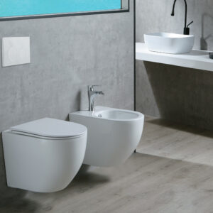 Color Glazed Wall-Hung Toilet TR2215