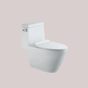 One-Piece Standard Toilet TR1158