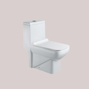 One-Piece Standard Toilet TR1169