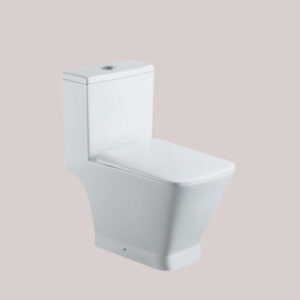 One-Piece Standard Toilet TR1214
