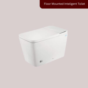 Intelligent Floor-Mounted Toilet U013