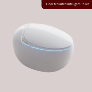 Intelligent Floor-Mounted Toilet U023